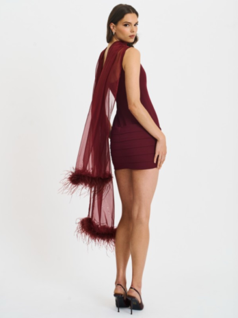 Tori Wine Red Mini Dress With Chiffon Scarf