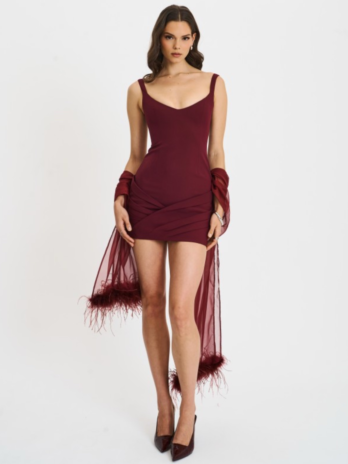 Tori Wine Red Mini Dress With Chiffon Scarf