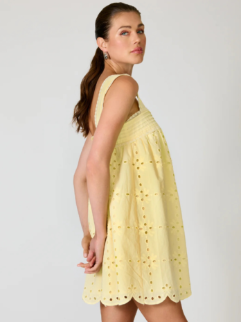 Yellow Eyelet Button Down Dress
